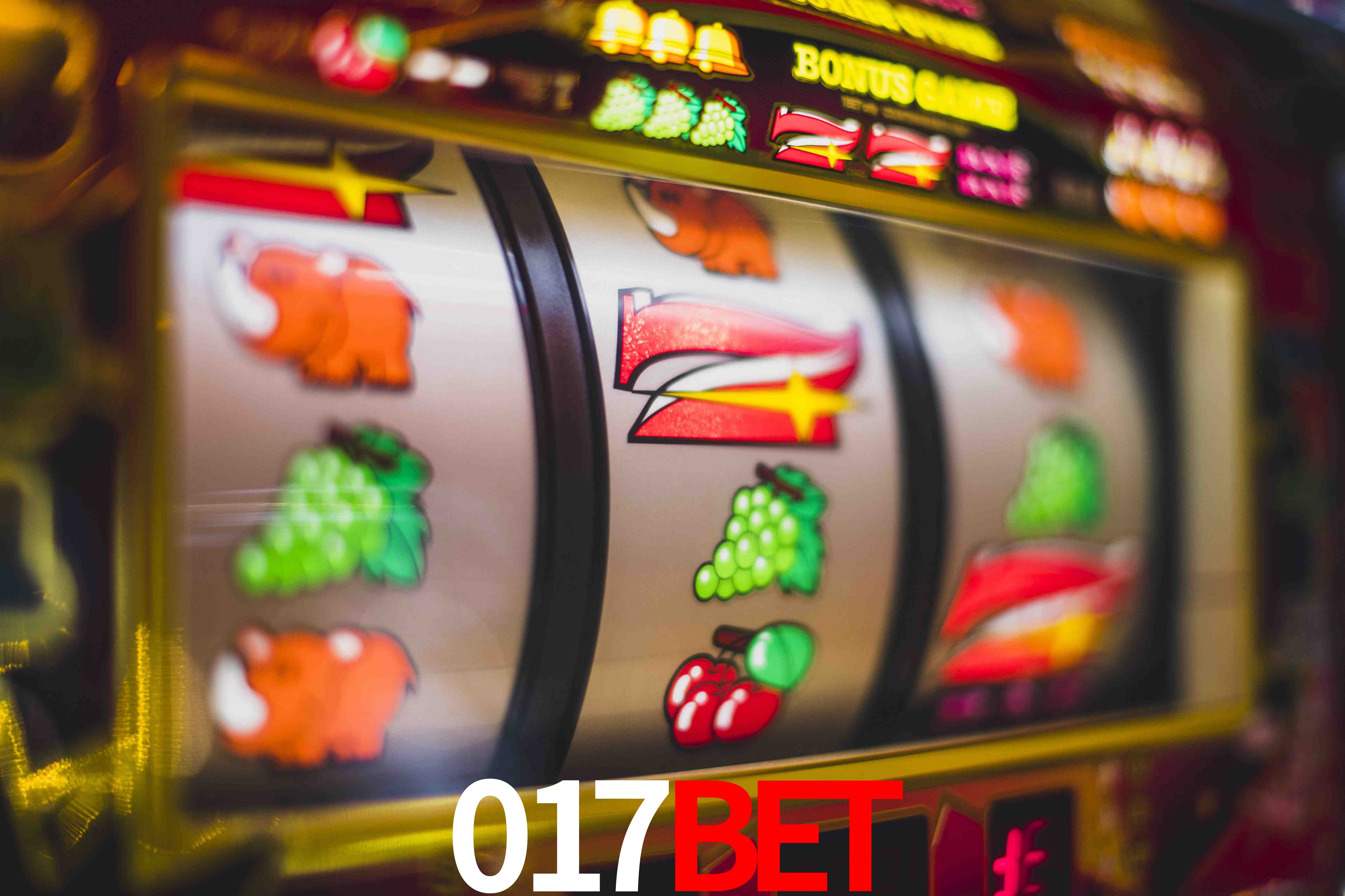 Sports Statistics 017bet